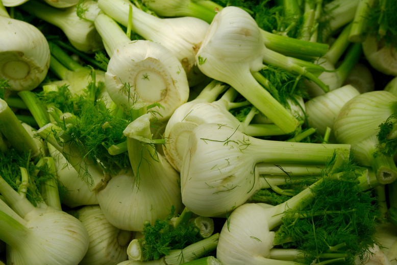 Fennel