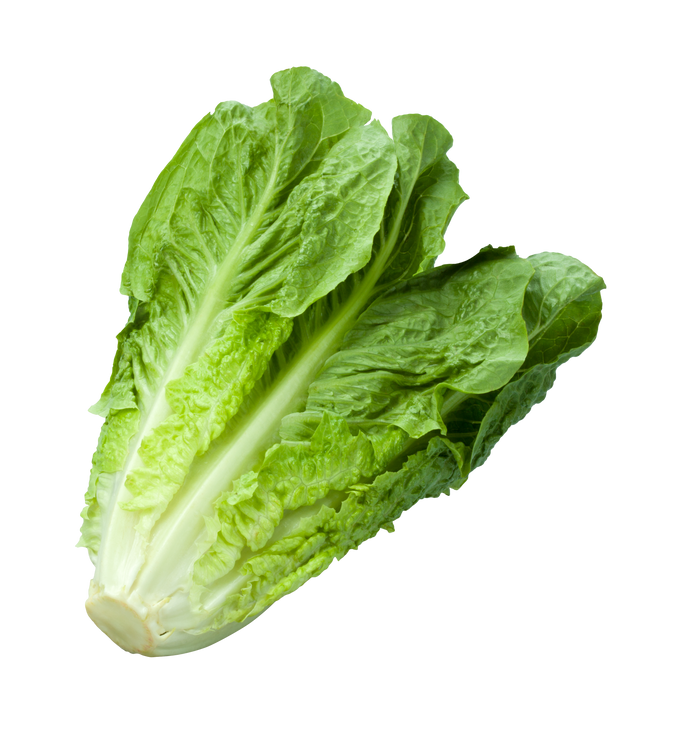 Romain Lettuce