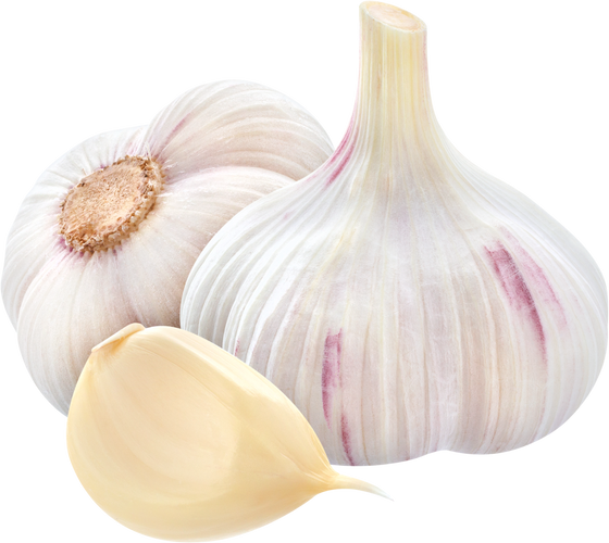 Garlic